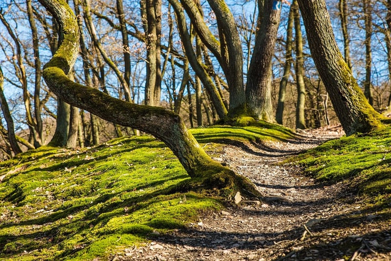Appalachian Trail, USA